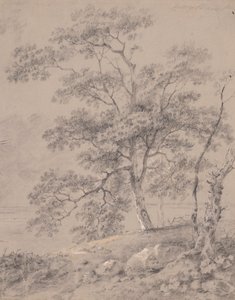 Ağaç Çalışması by George Barret