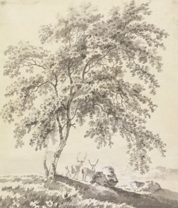 Geyiklerle Ağaç Çalışması (Peyzaj)