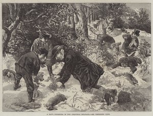 Noel Tatillerinde Bir Gün Gelincik by George Bouverie Goddard