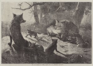 Fox Ailesi Evde by George Bouverie Goddard