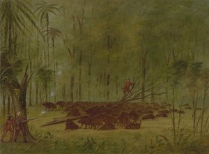 Peccaries ile Bir Dövüş - Caribbe, 18541869. by George Catlin