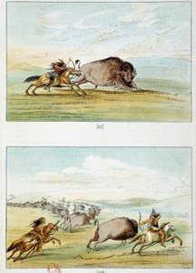 Amerikan Kızılderilileri: bizon avı. George Catlin