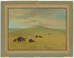 Amerikan Otlakları - Platte Çayırları by George Catlin