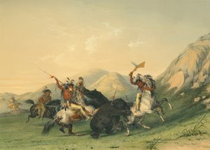 Boz Ayıya Saldırmak by George Catlin