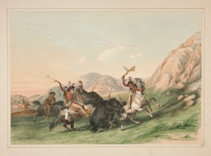Boz Ayıya Saldırmak, pl. Kuzey Amerika Kızılderili Portföyünden 19 by George Catlin