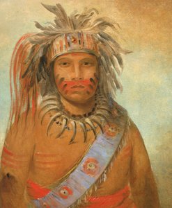 Au-nim-muck-kwa-um, Tempest Bird, 1845. by George Catlin