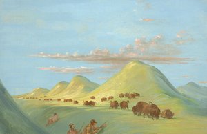  by George Catlin