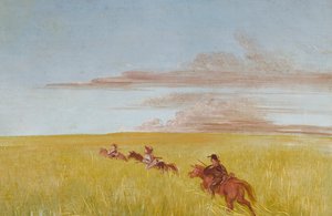 Bogard, Batiste ve Ben, Missouri Dibinde Yolculuk, 1837-1839. by George Catlin