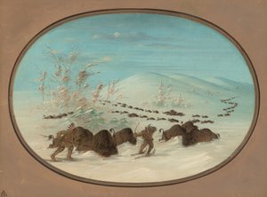 Kar Driftlerinde Buffalo Chase - Ojibbeway, 18611869. by George Catlin