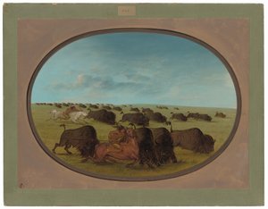 Buffalo Chase, Kazalarla by George Catlin