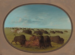 Buffalo Chase, Kazalar, 18611869. by George Catlin