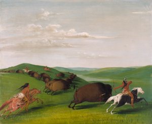 Yaylar ve Mızraklarla Bufalo Kovalamacası by George Catlin