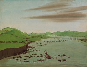 Yukarı Missouri'yi Geçen Bufalo Sürüleri, 1832.