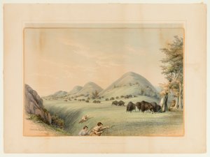  by George Catlin