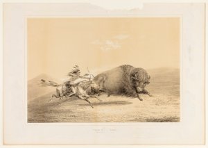 Bufalo Avı, Takip--no. 5 by George Catlin