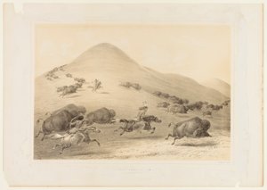  by George Catlin