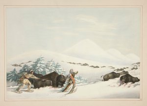 Buffalo Hunt, Kar Ayakkabılarında, pl. Kuzey Amerika Kızılderili Portföyünden 15 by George Catlin