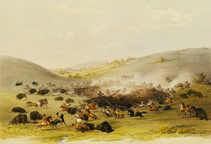 Bufalo Avı, Surround, c.1832 by George Catlin