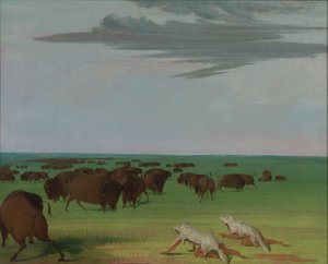 Kurt Derisi Maskesi Altında Bufalo Avı, 1832-1833. by George Catlin