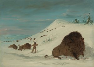 Kar Driftlerinde Buffalo Lancing - Sioux, 18611869. by George Catlin