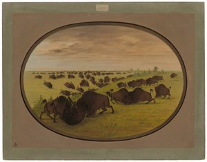 boğa güreşi by George Catlin
