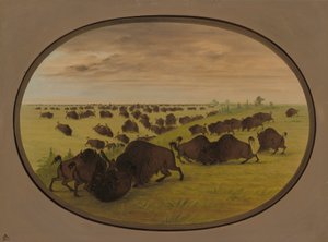 Boğa Dövüşü, 18611869. by George Catlin