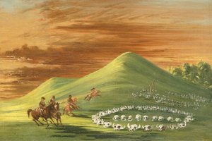  by George Catlin