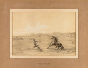 Vahşi Atı Yakalamak--no. 4 by George Catlin