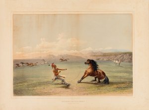  by George Catlin