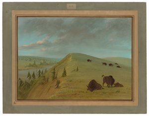 Sedir Kayalıkları by George Catlin