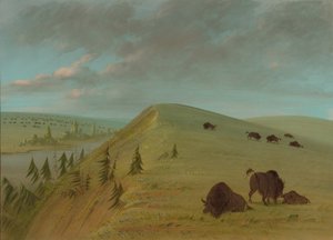 Sedir Bluffs, 18611869. by George Catlin