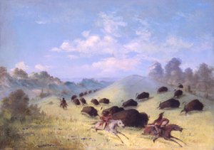  by George Catlin
