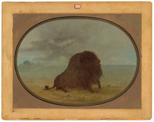 Ölen Buffalo Boğa by George Catlin