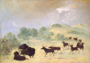  by George Catlin