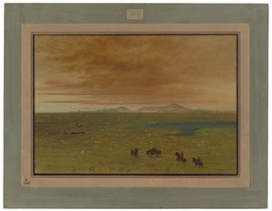 Büyük Çamaşırhane, Pampa del Sacramento by George Catlin