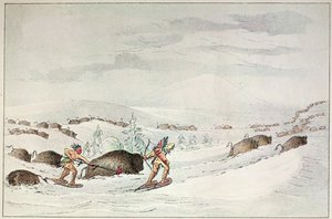 Kar ayakkabısı üzerinde bufalo avlamak by George Catlin