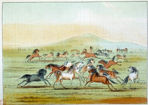 Amerika Kızılderilileri: Kızılderililer tarafından avlanan vahşi atlar. George Catlin