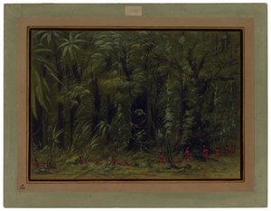 Bir Amazon Ormanının İçi - Zurumati by George Catlin