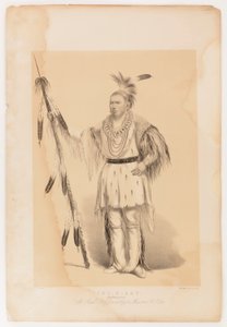Joc-o-sot, Yürüyen Ayı by George Catlin