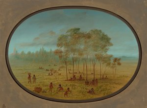 Yaban Üzümlerini Toplayan Kiowa Kızılderilileri, 18611869. by George Catlin