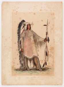 Mah-to-toh-pa, Mandan Şefi by George Catlin