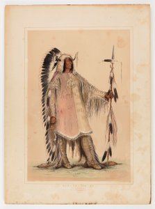 Mah-to-toh-pa, Mandan Şefi by George Catlin