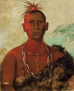  by George Catlin