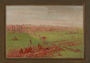  by George Catlin