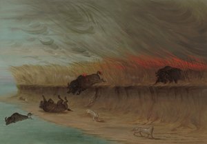 Yanan Çayırlar, 18611869. by George Catlin