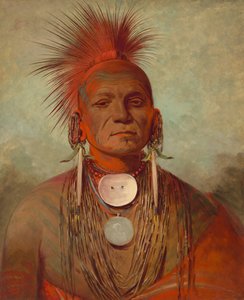 See-non-ty-a, bir Iowa Tıp Adamı by George Catlin