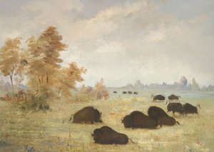  by George Catlin