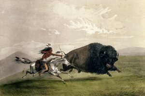 Buffalo Chase "Singling Out", pub. Currier ve Ives tarafından by George Catlin