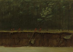 Aşağı Mississippi