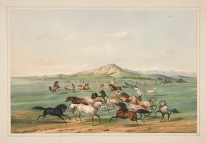 Vahşi Atlar Oyunda, pl. Kuzey Amerika Kızılderili Portföyünden 3 by George Catlin